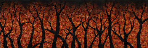 Flame Trees Canvas Prints
