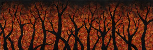 Flame Trees Canvas Prints