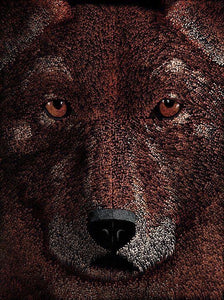 Dingo In The Darkness POSTER Prints