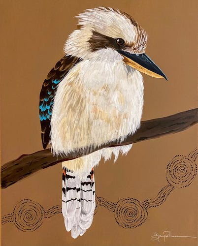 Kookaburra on the watch.