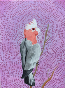 A6 Greeting Cards
