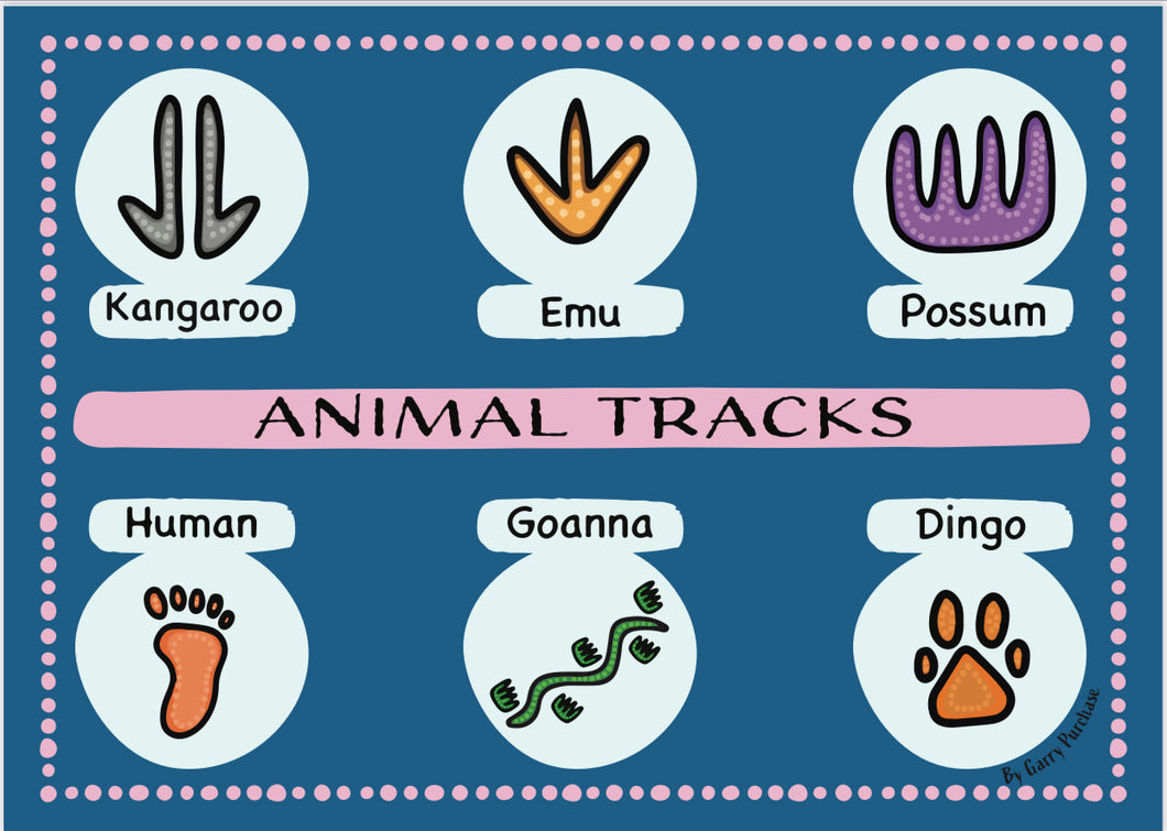 A4 Animal Track Posters