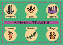 Load image into Gallery viewer, A3 Symbols &amp; Animal Tracks Poster Special