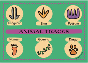 A3 Symbols & Animal Tracks Poster Special